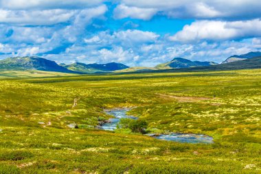 İskandinavya 'daki Rondane Ulusal Parkı Ringbu Innlandet Norveç' te el değmemiş doğa nehirleri, kayalar ve göller ile güzel bir dağ manzarası..