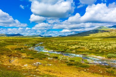 İskandinavya 'daki Rondane Ulusal Parkı Ringbu Innlandet Norveç' te el değmemiş doğa nehirleri, kayalar ve göller ile güzel bir dağ manzarası..
