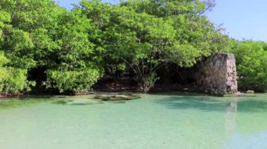 Playa del Carmen Quintana Roo Mexico 'daki Punta Esmeralda plajında nehir ve turkuaz mavisi suları olan küçük güzel Cenote mağarası..