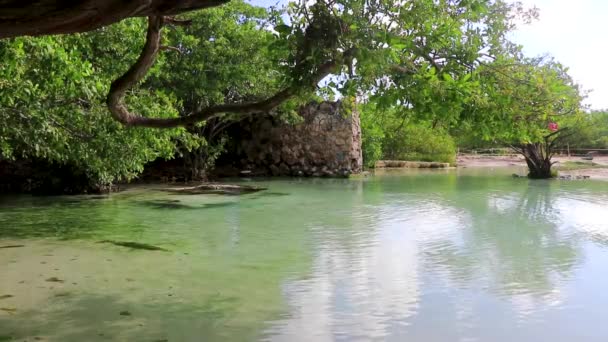 プラヤ カルメンキンタナ メキシコのプンタ エスメラルダビーチで川とターコイズブルーの水を持つ小さな美しいセントー洞窟 — ストック動画