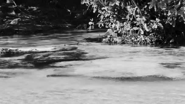 金塔纳罗奥州普莱塔埃斯梅拉达海滩上一个美丽的带有河流和绿松石蓝水的人参小洞 — 图库视频影像