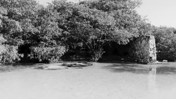 Pequena Gruta Cenote Bonita Com Rio Água Azul Turquesa Praia — Vídeo de Stock