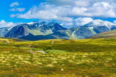 İskandinavya 'daki Rondane Ulusal Parkı Ringbu Innlandet Norveç' te el değmemiş doğa tepeleri ve kaya taşlarıyla güzel bir dağ manzarası..
