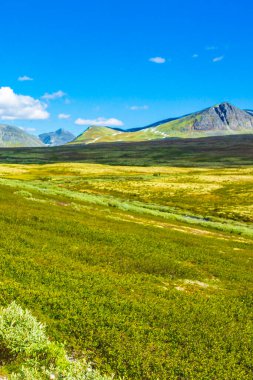 İskandinavya 'daki Rondane Ulusal Parkı Ringbu Innlandet Norveç' te el değmemiş doğa tepeleri ve kaya taşlarıyla güzel bir dağ manzarası..