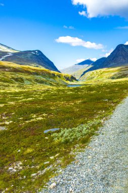 İskandinavya 'daki Rondane Ulusal Parkı Ringbu Innlandet Norveç' te el değmemiş doğa nehirleri, kayalar ve göller ile güzel bir dağ manzarası..
