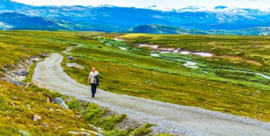 Yalnız genç yürüyüşçü, İskandinavya 'daki Rondane Ulusal Parkı Ringbu Innlandet Norveç' in ormanları ve dağları arasındaki manzara manzarasında yürüyüş parkurunda yürüyor..