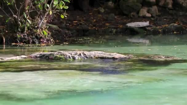 Piccola Bella Grotta Cenote Con Fiume Acqua Turchese Blu Punta — Video Stock
