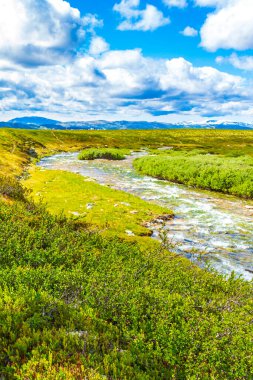 İskandinavya 'daki Rondane Ulusal Parkı Ringbu Innlandet Norveç' te el değmemiş doğa nehirleri, kayalar ve göller ile güzel bir dağ manzarası..