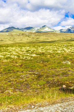 İskandinavya 'daki Rondane Ulusal Parkı Ringbu Innlandet Norveç' te el değmemiş doğa tepeleri ve kaya taşlarıyla güzel bir dağ manzarası..