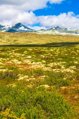 İskandinavya 'daki Rondane Ulusal Parkı Ringbu Innlandet Norveç' te el değmemiş doğa tepeleri ve kaya taşlarıyla güzel bir dağ manzarası..