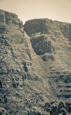Cape Town, Güney Afrika 'daki Masa Dağı Ulusal Parkı' ndan görüntü.