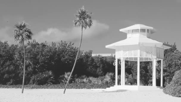 White Noble Pergula Pavilion Paradise Beach Palm Trees Playa Del — стоковое видео