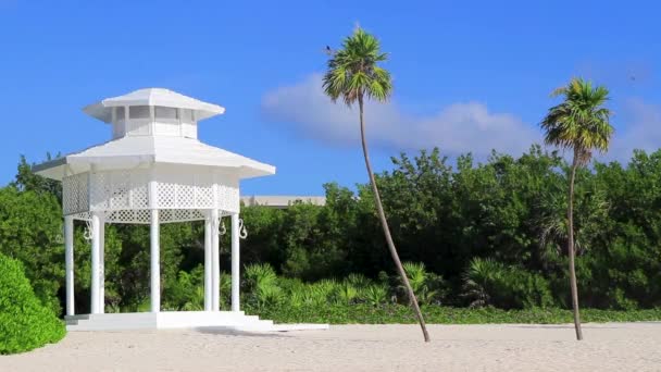White Noble Pergula Pavilion Paradise Beach Palm Trees Playa Del — Vídeos de Stock
