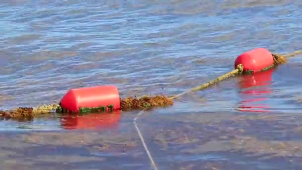 Buoy Rope Floats Lot Very Disgusting Dirty Caribbean Beach Water — Stockvideo
