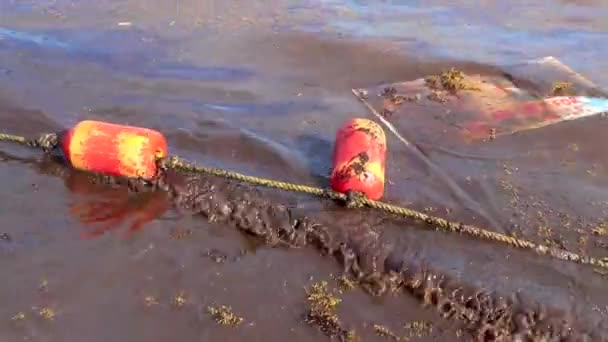 金塔纳罗奥岛 在许多非常恶心和肮脏的加勒比海滩水域里 用海藻沙加佐浮在绳索上的浮标漂浮着 — 图库视频影像