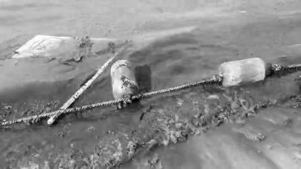 Boya Cuerda Flota Montón Agua Playa Caribeña Muy Asquerosa Sucia — Vídeos de Stock