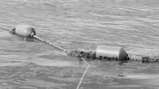 Buoy Rope Floats Lot Very Disgusting Dirty Caribbean Beach Water — Stockvideo