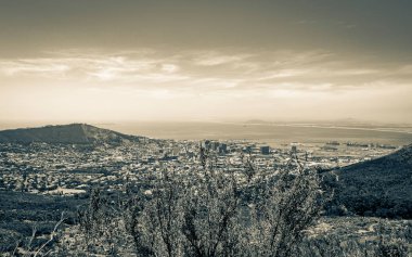 Cape Town, Güney Afrika 'daki Masa Dağı' ndaki çalıların arkasına bakın..