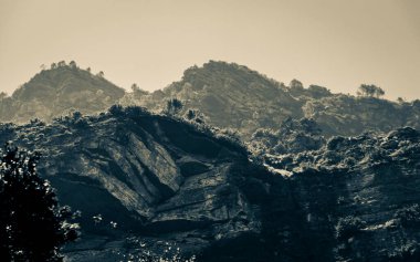 Cape Town, Güney Afrika 'daki Masa Dağı Ulusal Parkı' nın doğa, uçurumları ve dağları.