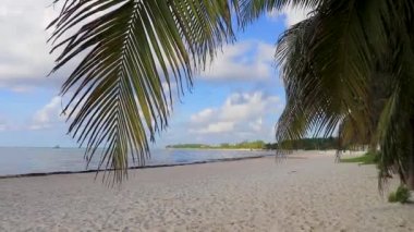 Tropical caribbean beach landscape panorama with clear turquoise blue water and palm trees in Playa del Carmen Mexico.