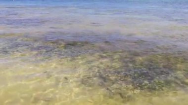 Playa del Carmen Quintana Roo Meksika sahilindeki turkuaz yeşil ve mavi sularda kayalar ve mercanlar..