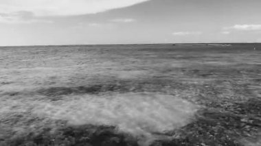 Tropical caribbean beach landscape panorama with clear turquoise blue water in Playa del Carmen Mexico.