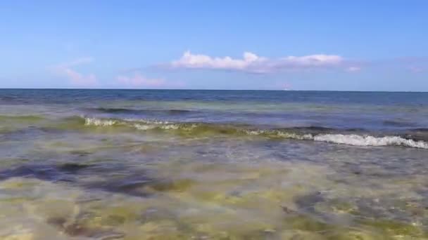 墨西哥普莱亚德尔卡门的热带驯鹿海滩景观全景 蓝水清澈碧绿 — 图库视频影像