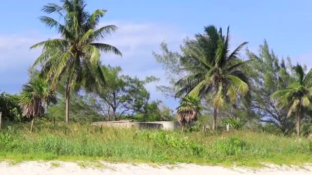 Playa Del Carmen Quintana Roo墨西哥棕榈滩和废墟 — 图库视频影像