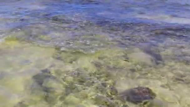 Stenen Rotsen Koralen Turquoise Groen Blauw Water Het Strand Playa — Stockvideo