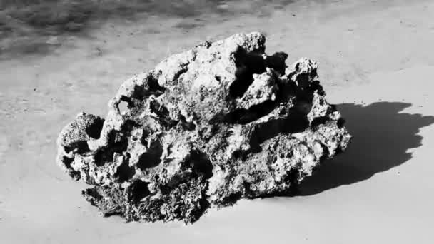 Kamienie Kamienie Korale Turkusowej Zielonej Niebieskiej Wodzie Plaży Playa Del — Wideo stockowe