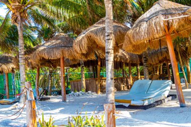 Palmiye ağaçları şemsiyeler ve güneş şemsiyeleri Playa del Carmen Mexico 'daki tropik Meksika sahillerindeki resif coco plajı tatil beldesinde..