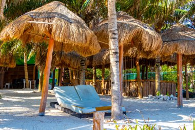 Palmiye ağaçları şemsiyeler ve güneş şemsiyeleri Playa del Carmen Mexico 'daki tropik Meksika sahillerindeki resif coco plajı tatil beldesinde..
