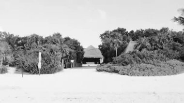 Playa del Carmen Quintana Roo 'daki tropikal plajda Palapa çatı ve tatil köyü..