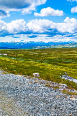 İskandinavya 'daki Rondane Ulusal Parkı Ringbu Innlandet Norveç' te el değmemiş doğa nehirleri, kayalar ve göller ile güzel bir dağ manzarası..