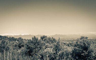 Güney Afrika 'daki Kirstenbosch Ulusal Botanik Bahçesinden Cape Town' un panoramik görüntüsü.