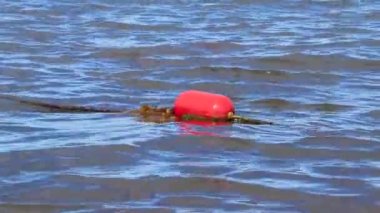 Güzel mavi ve turkuaz su dalgaları okyanus ve sarı turuncu şamandıra ve ipler Quintana Roo Mexico 'daki Playa del Carmen' in sularında..