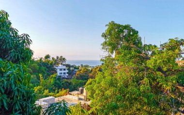 Beautiful tropical and natural city and seascape landscape panorama view with pacific ocean sea palms palm trees and beach with waves of Zicatela Puerto Escondido Oaxaca Mexico.