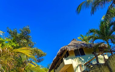 Zicatela Puerto Escondido Oaxaca Meksika 'daki palmiye ağaçları arasında cennetteki oteller ve binalar.