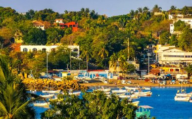 Beautiful tropical and natural city and seascape landscape panorama view with pacific ocean sea palms palm trees and beach with waves of Zicatela Puerto Escondido Oaxaca Mexico.