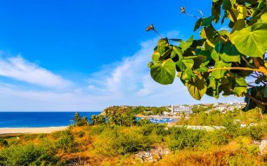 Beautiful tropical and natural city and seascape landscape panorama view with pacific ocean sea palms palm trees and beach with waves of Zicatela Puerto Escondido Oaxaca Mexico.