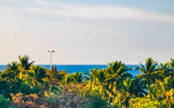 太平洋の海のヤシの木とZicatela Puerto Esconddo Oaxacaメキシコの波とビーチと美しい熱帯性と自然都市や海の風景のパノラマビュー — ストック写真