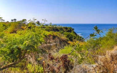 Güzel kayalıklar, kayalar, büyük sörfçü dalgaları ve doğal manzara Bacocho Puerto Escondido Oaxaca 'daki sahilde palmiye ağaçları..