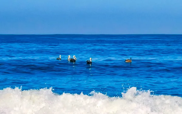 Puerto Escondido Oaxaca México Enero 2023 Surfista Surfeando Tabla Surf — Foto de Stock