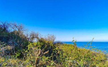 Beautiful tropical and natural city and seascape landscape panorama view with pacific ocean sea palms palm trees and beach with waves of Zicatela Puerto Escondido Oaxaca Mexico.
