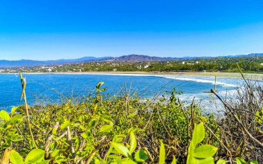 Beautiful tropical and natural city and seascape landscape panorama view with pacific ocean sea palms palm trees and beach with waves of Zicatela Puerto Escondido Oaxaca Mexico.