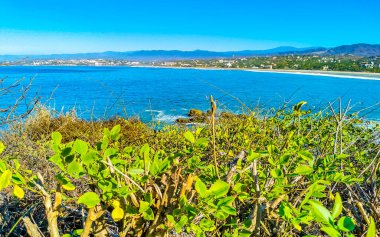 Beautiful tropical and natural city and seascape landscape panorama view with pacific ocean sea palms palm trees and beach with waves of Zicatela Puerto Escondido Oaxaca Mexico.