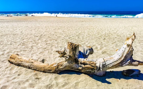 美しい太平洋の海の海岸海岸とZicatela Puerto Esconddo Oaxacaメキシコで木の幹の木の枝を洗ったビーチ — ストック写真