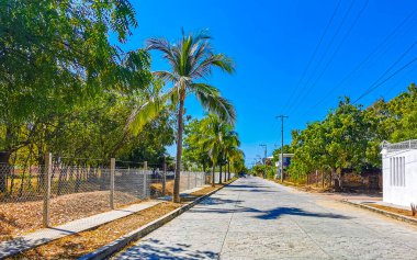 Tipik ve renkli paradisiacal cadde evleri, daireleri restoranları, restoranları, araba dükkanları palmiye ağaçları ve Bacocho ve Rinconada Puerto Escondido Oaxaca Meksika 'daki insanlar..