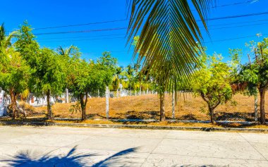 Tipik ve renkli paradisiacal cadde evleri, daireleri restoranları, restoranları, araba dükkanları palmiye ağaçları ve Bacocho ve Rinconada Puerto Escondido Oaxaca Meksika 'daki insanlar..