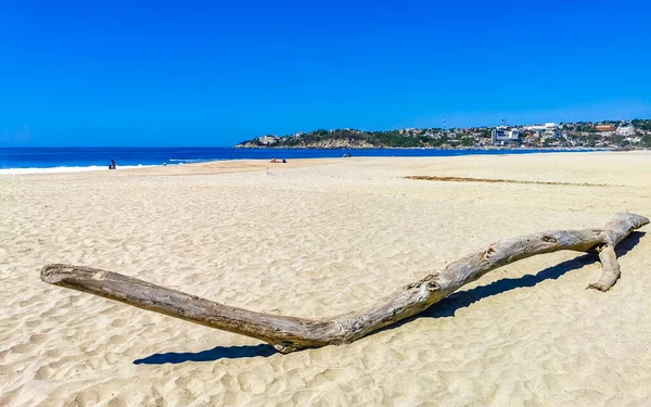 美しい太平洋の海の海岸海岸とZicatela Puerto Esconddo Oaxacaメキシコで木の幹の木の枝を洗ったビーチ — ストック写真